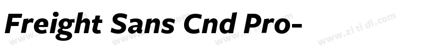 Freight Sans Cnd Pro字体转换